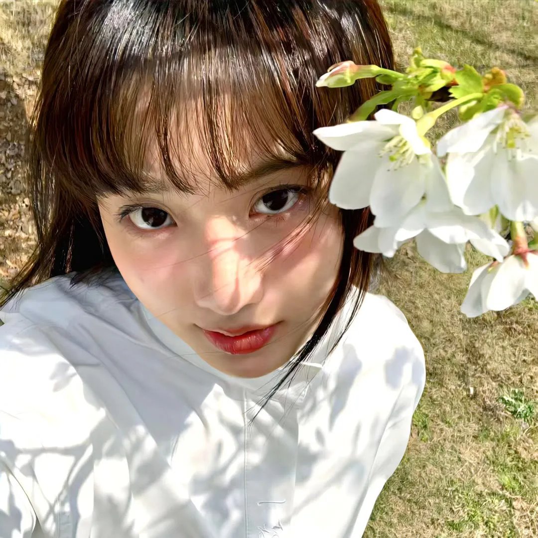 塞莱斯蒂娜